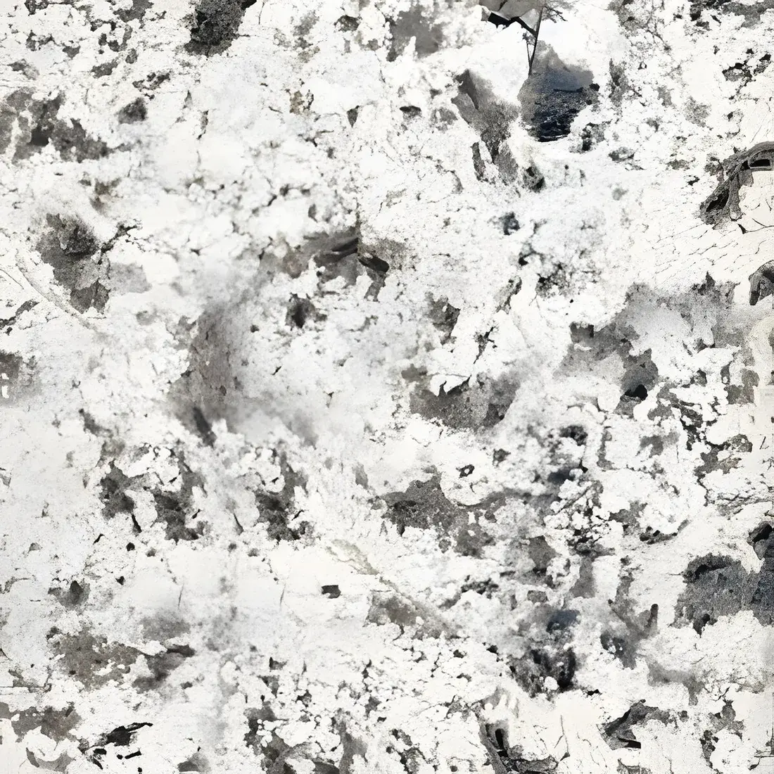 Alaska