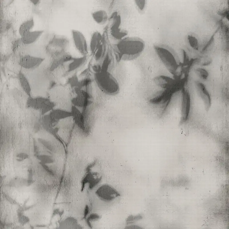 Ombra